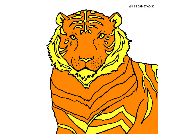 Desenho Tigre pintado por Nilza