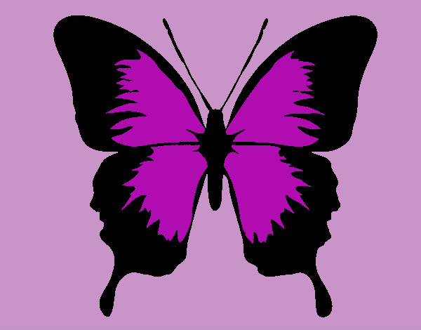Desenho Borboleta com asas negras pintado por rainara