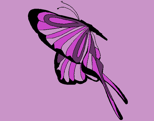 Desenho Borboleta com grandes asas pintado por rainara