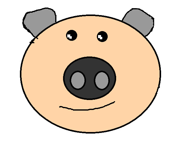 Desenho Cara de porco pintado por ceduarda
