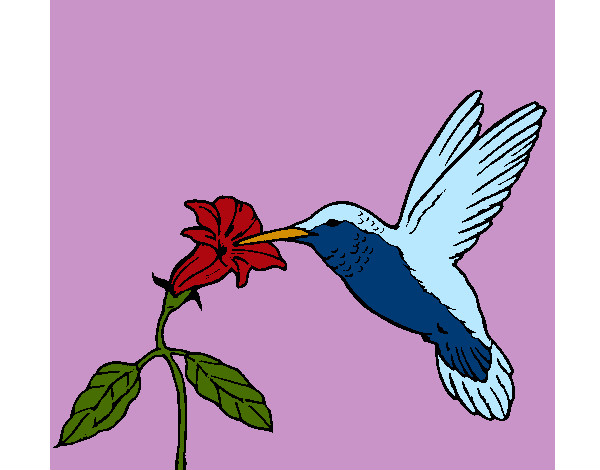 Desenho Colibri e uma flor pintado por rainara