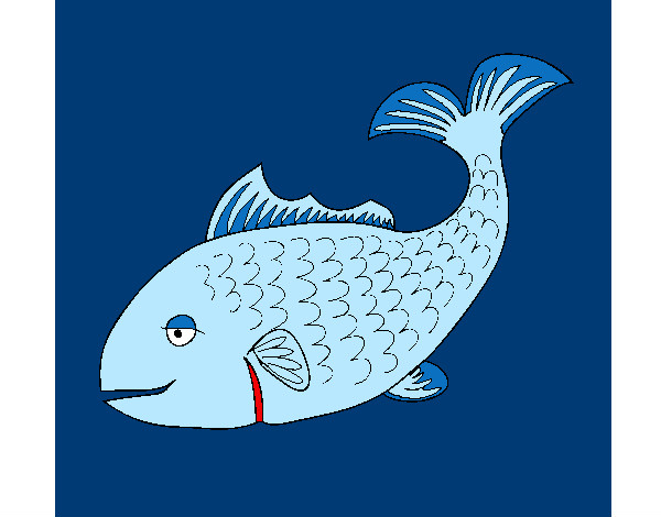 Peixe 3