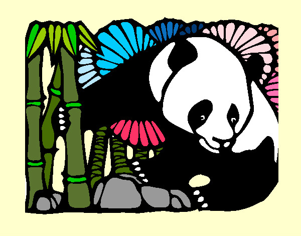 Desenho Urso panda e bambu pintado por dhebora