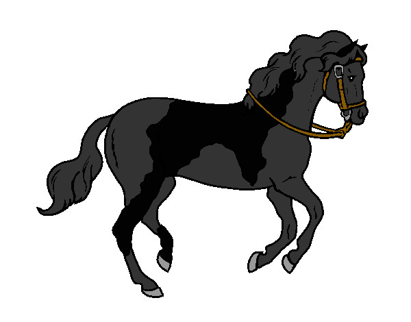 Desenho Cavalo 5 pintado por Leal