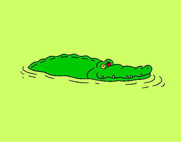 Desenho Crocodilo 2 pintado por TIMCOCA