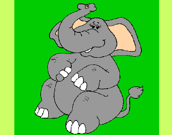 Elefante com a trompa levantada