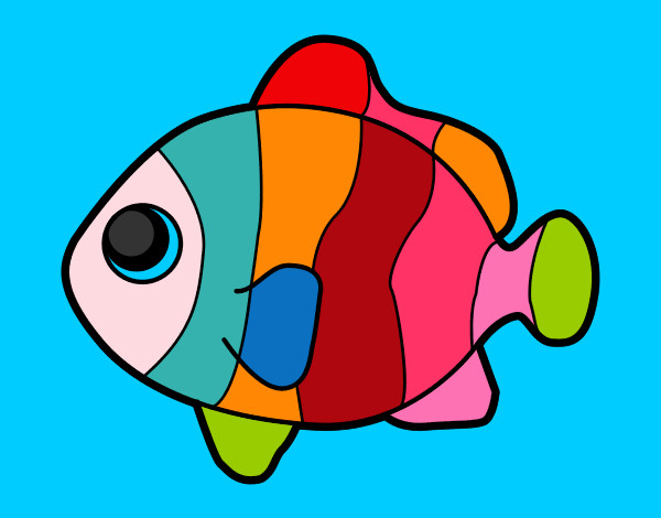 Peixinho Colorido