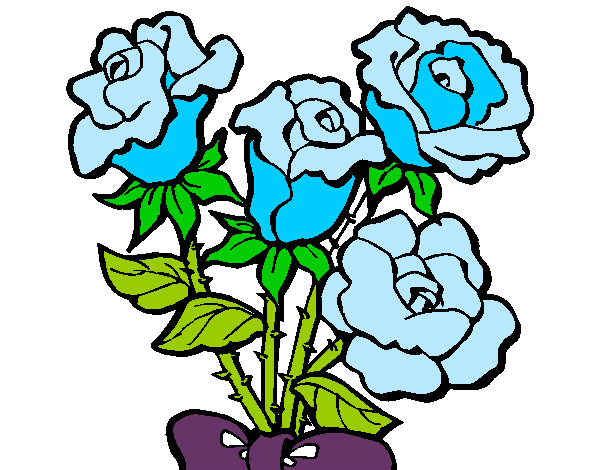 rosas azuis