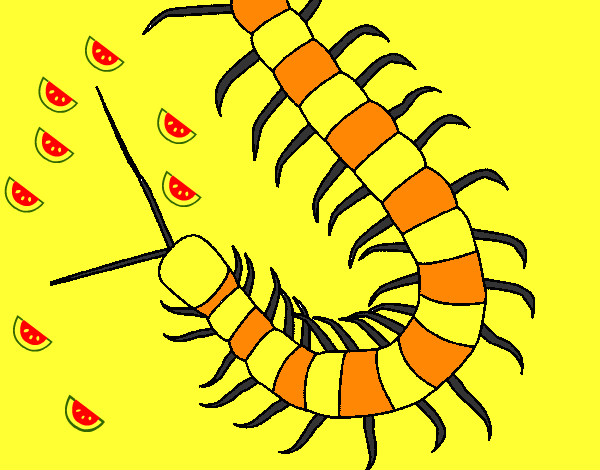 Desenho Centopeia pintado por Nilza