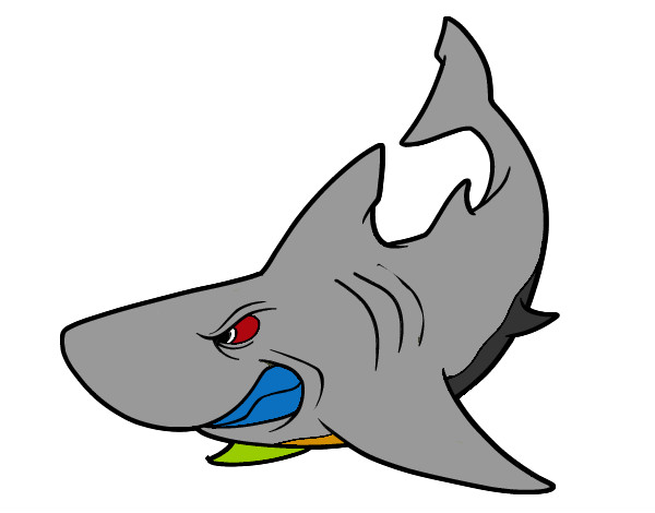Tubarão bebê