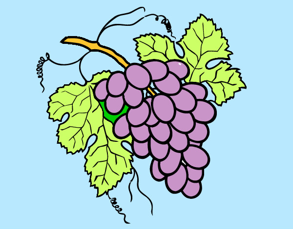 Desenho Cacho de uvas pintado por kakkak