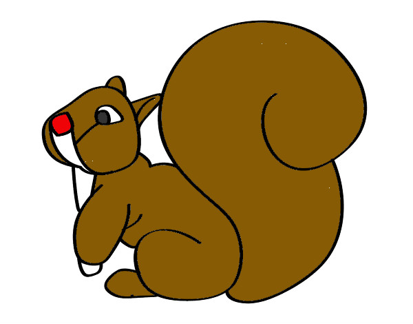 Desenho Esquilo com uma cauda grande pintado por REXY