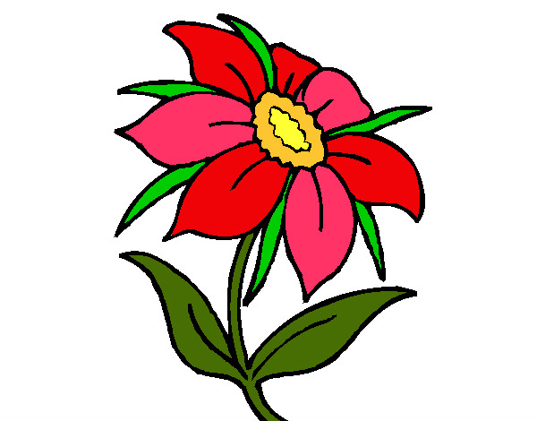 Desenho Flor silvestre pintado por grachi