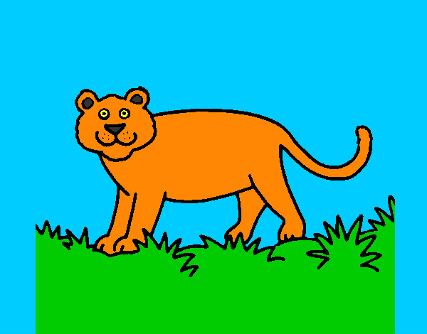Desenho Panthera  pintado por Nokari