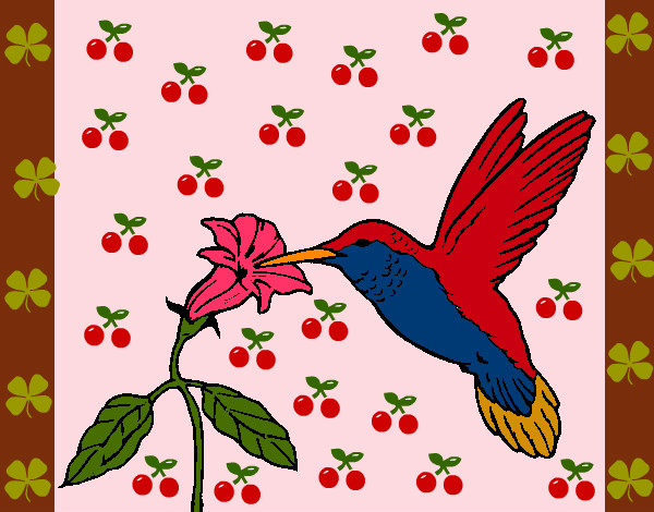 Desenho Colibri e uma flor pintado por Miudinha