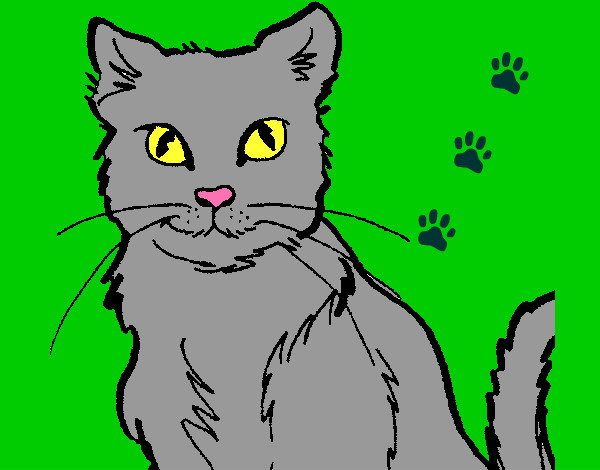 Desenho Gato pintado por PriihKanty