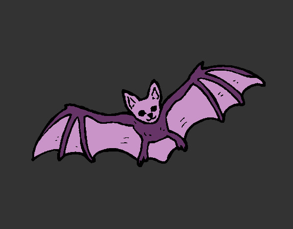Desenho Morcego a voar pintado por vito