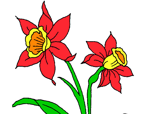 Desenho Orquídea pintado por Esvandro