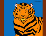 Desenho Tigre pintado por SrtMalik