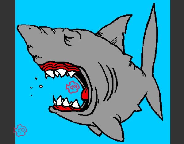Desenho Tubarão pintado por Ana10