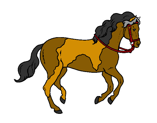 cavalo do lucas