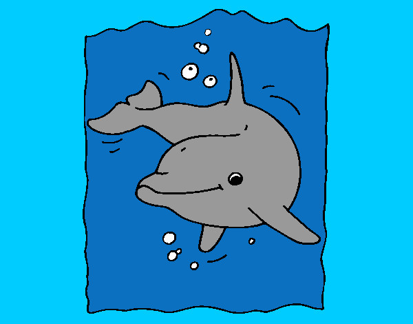 nadador golfinho