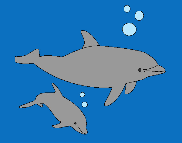 Desenho Golfinhos pintado por Bertha