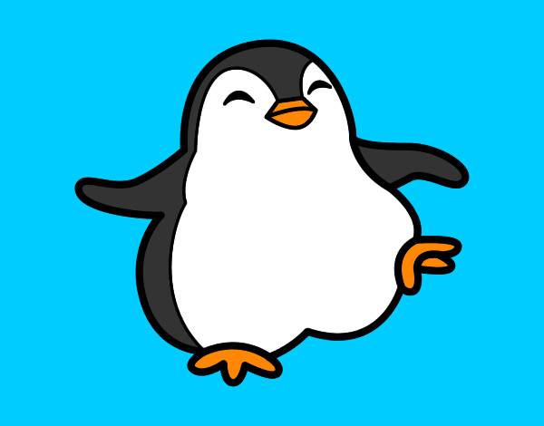 pinguin festeiro