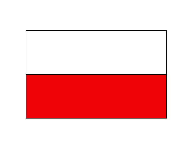 Desenho Polônia pintado por vito