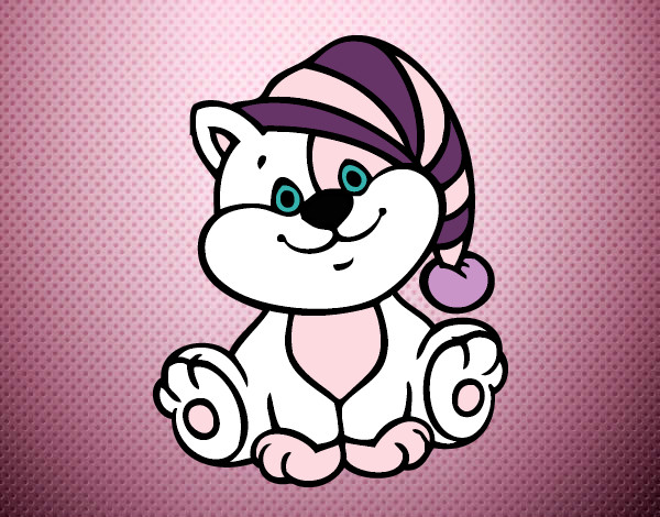 Desenho Gato com chapéu pintado por SARAH-
