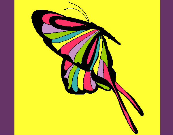 Desenho Borboleta com grandes asas pintado por Miudinha