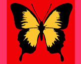 Desenho Borboleta com asas negras pintado por beocas