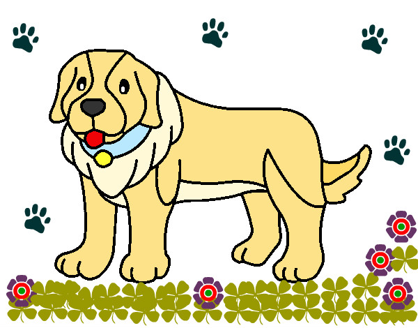 Desenho Cão pigmento pintado por Mihh