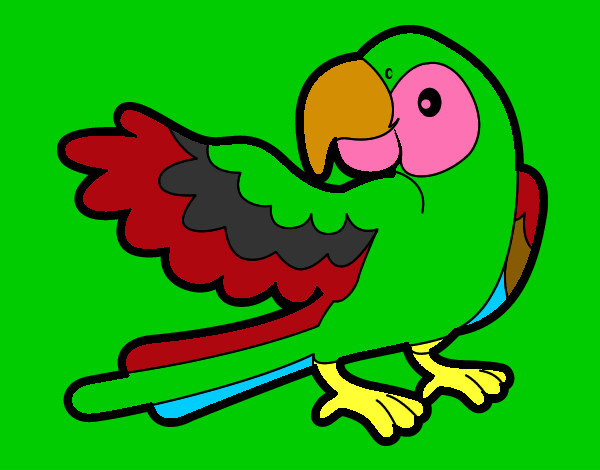 Desenho Papagaio abrir a asa pintado por purucutu