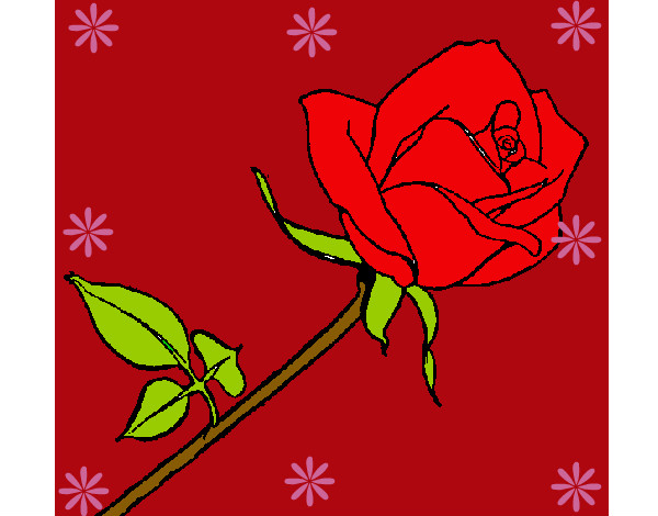 Desenho Rosa pintado por abirelag
