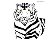 Desenho Tigre pintado por abirelag