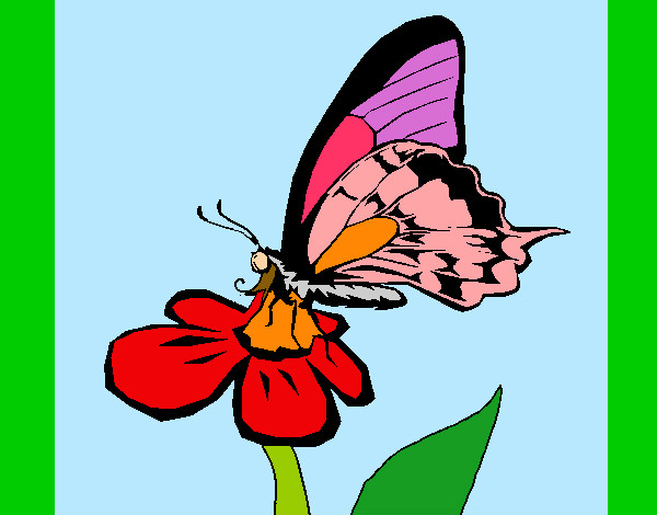 Desenho Borboleta numa flor pintado por aflodilza 