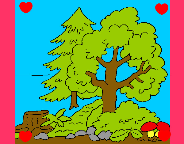 Desenho Bosque pintado por Livinha 
