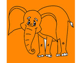 Desenho Elefante feliz pintado por diogom