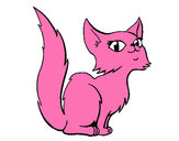 Desenho Gata persa pintado por gatodafe