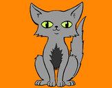 Desenho Gato persa pintado por Scott
