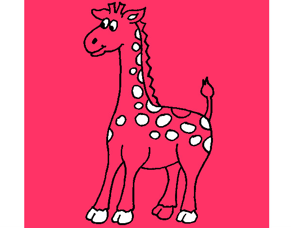 Desenho Girafa 4 pintado por diogom