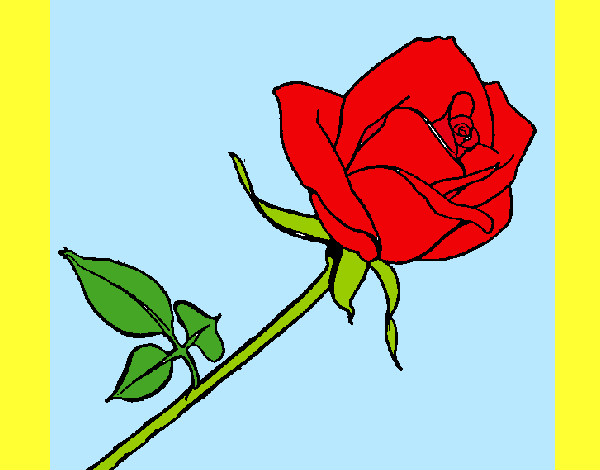 Desenho Rosa pintado por aflodilza 