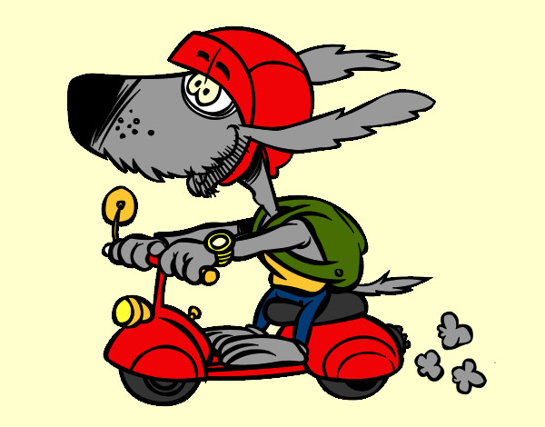 Desenho Cão motociclista pintado por cambraia