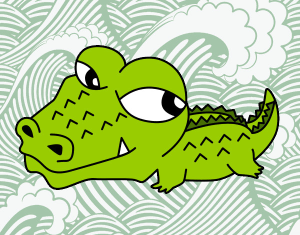 Desenho Crocodilo pequeno pintado por Thaiss