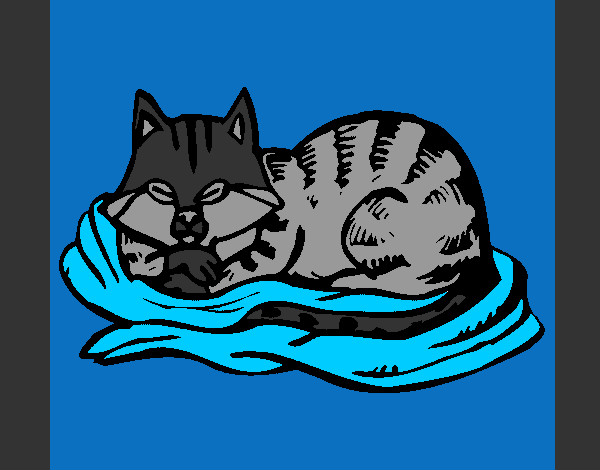 Desenho Gato na sua cama pintado por joice