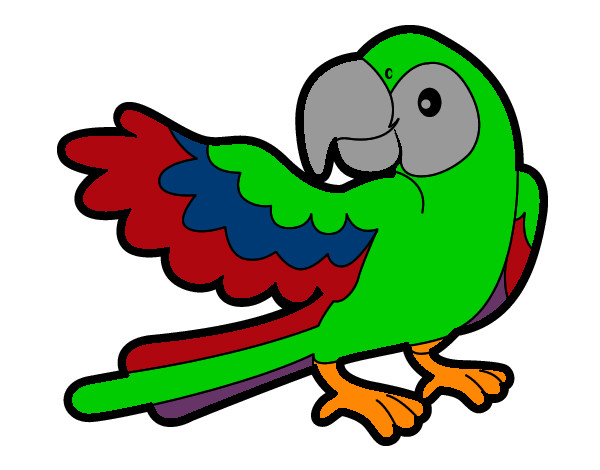 Desenho Papagaio abrir a asa pintado por Nayaara
