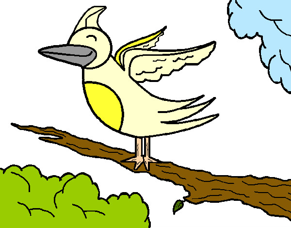 Desenho Pássaro na árvore pintado por cambraia