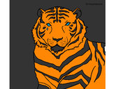 Desenho Tigre pintado por taile