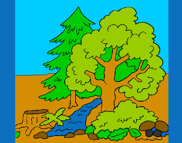 Desenho Bosque pintado por hana